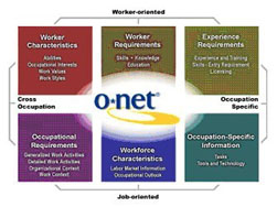解读美国劳工部“计算机化职业信息数据库”（简称O*NET）结构介绍